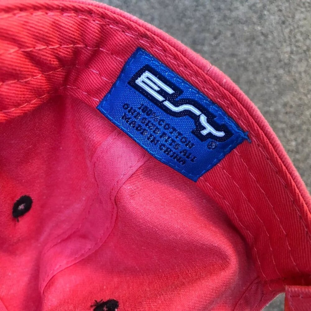 Vintage 90s ESY ROCKY MOUNTAIN NATIONAL PARK Hat Men's Red Baseball Cap Retro - Picture 3 of 5